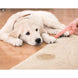Dr Foamy Enzyme Carpet Cleaner-Cleaners & Specialty Aerosols-Hi Tech Industries-HT 18019